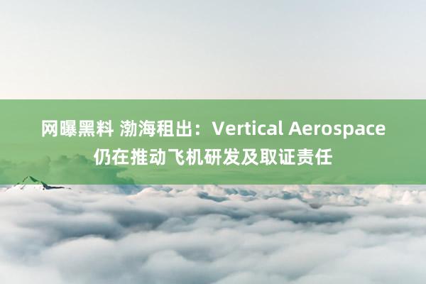 网曝黑料 渤海租出：Vertical Aerospace仍在推动飞机研发及取证责任