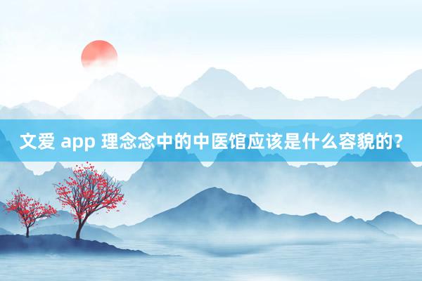 文爱 app 理念念中的中医馆应该是什么容貌的？