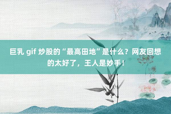 巨乳 gif 炒股的“最高田地”是什么？网友回想的太好了，王人是妙手！
